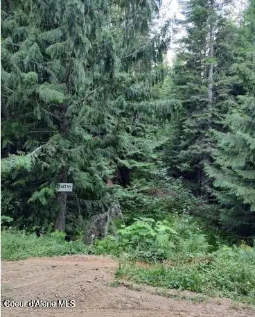 317 E Ridge RD, St. Maries, ID 83861