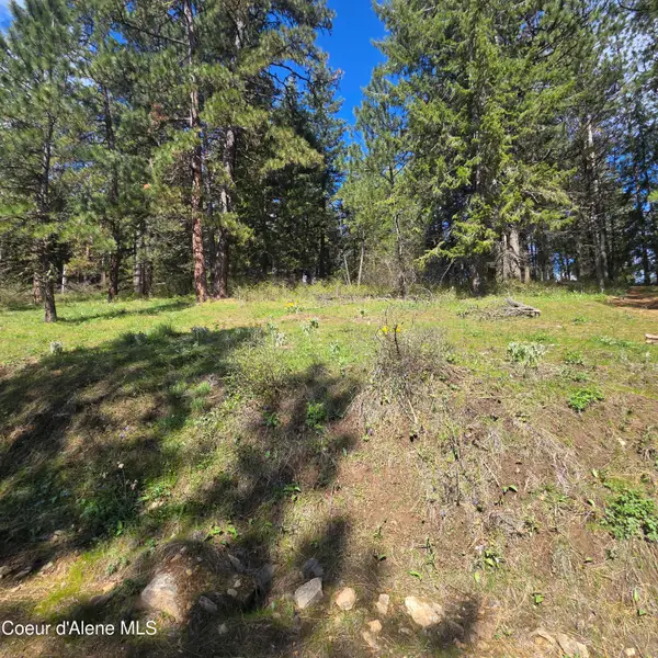NKA Iron Mountain Ln, Desmet, ID 83824