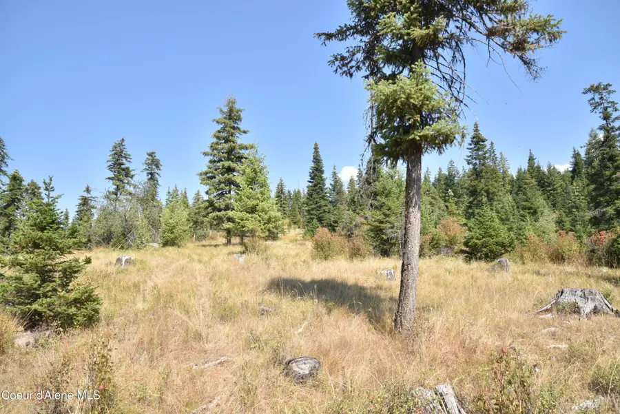 NNA lot 1 Carpenter Creek Rd, Fernwood, ID 83830 - #2