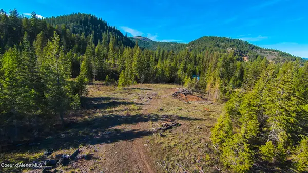 NNA Lot 3 Kacy Bear LN, Priest River, ID 83856