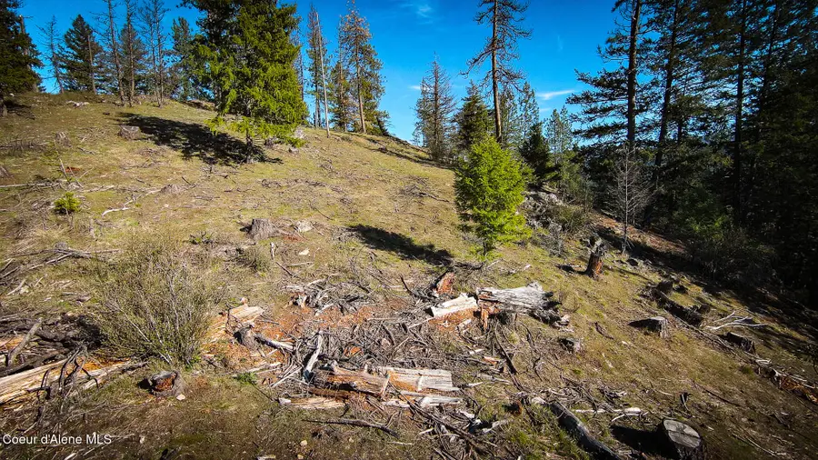 NNA Lot 3 Kacy Bear LN, Priest River, ID 83856 - #3