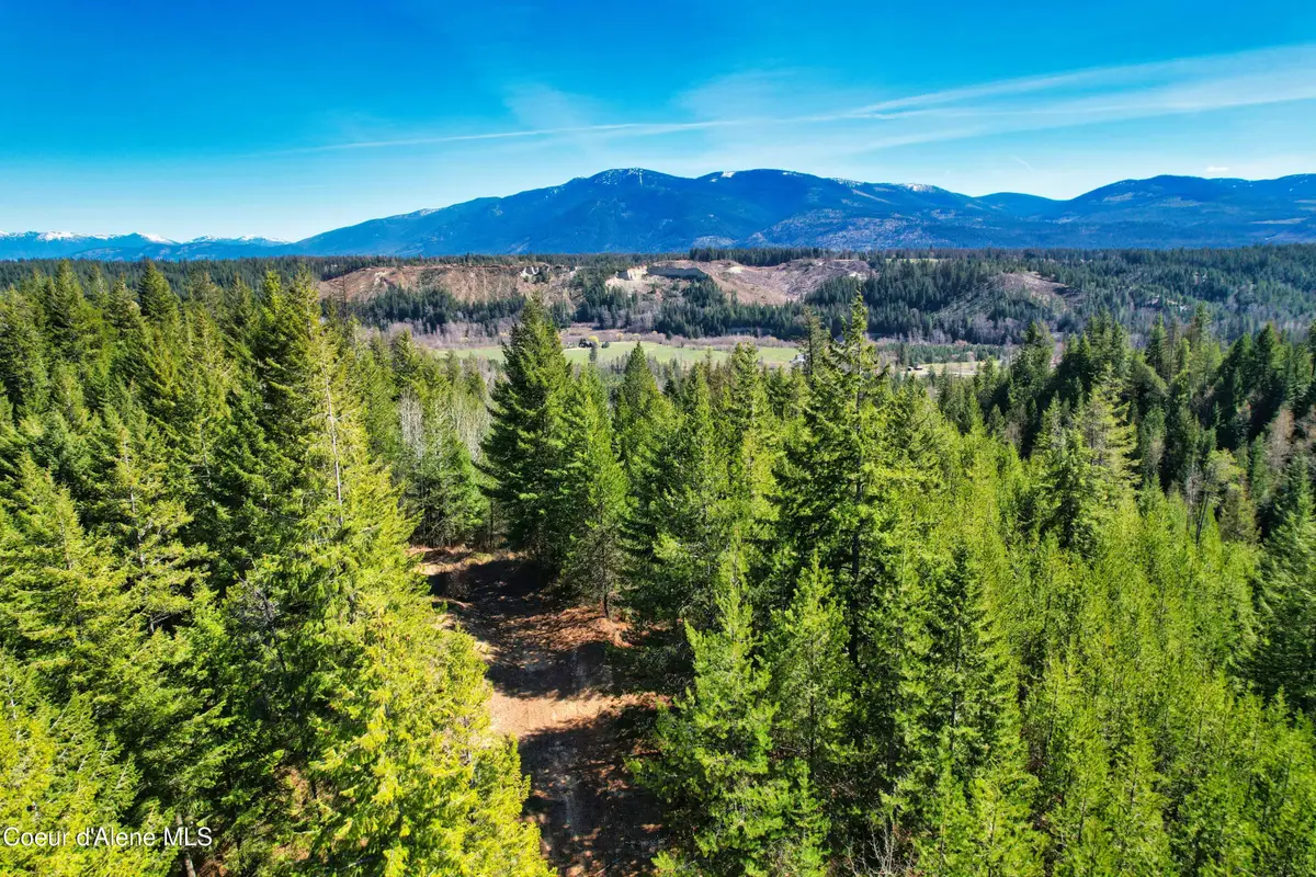 NNA 20 acres Juniper Ln, South And West Boundary, ID 83805 - #1
