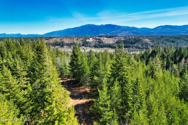 NNA 20 acres Juniper Ln, Naples, ID 83805