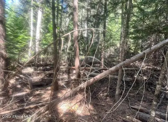 NKA Santa Creek Rd, Saint Maries, ID 83861 - #3