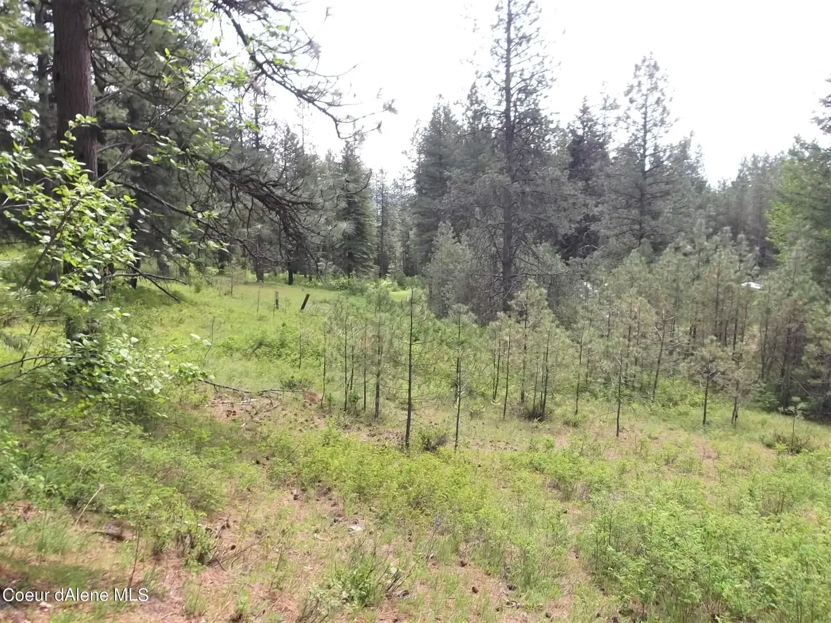 NNA DazyDuck Ct, Rathdrum, ID 83858 - #1
