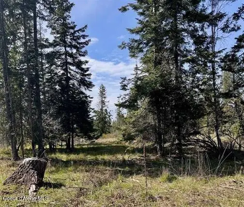 TBD Harris Ridge Rd, Kooskia, ID 83539 - #2