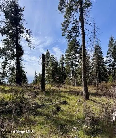TBD Harris Ridge Rd, Kooskia, ID 83539 - #3