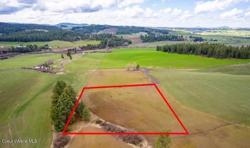 NKA Clifford Rd, Princeton, ID 83857 - #1