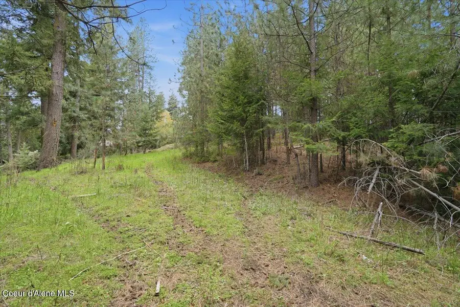 NNA CHALET RD, Hayden Lake, ID 83835 - #2