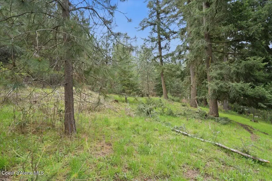 NNA CHALET RD, Hayden Lake, ID 83835 - #3