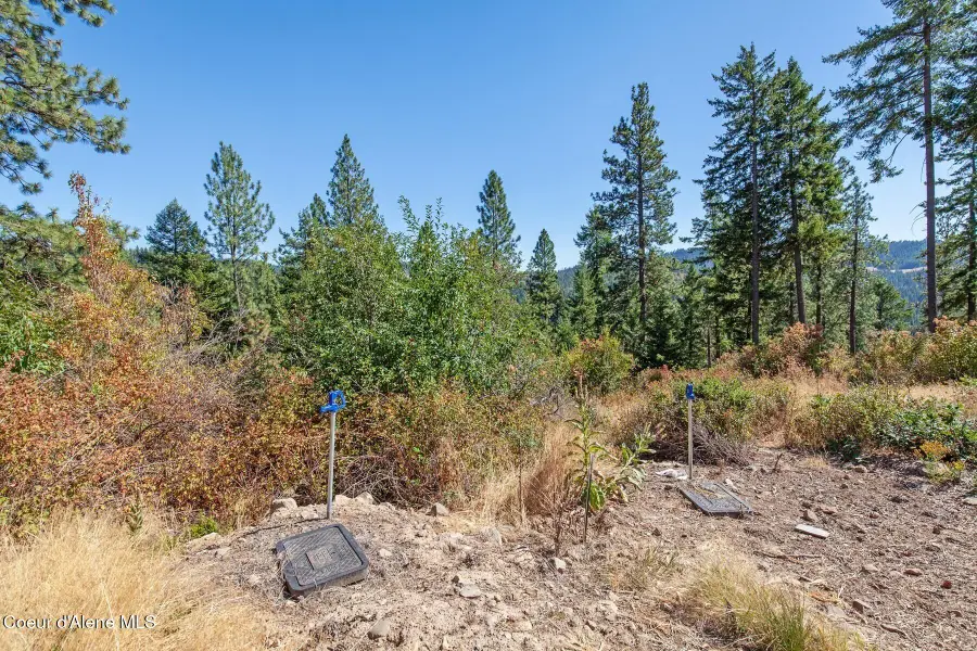 NNA Hanson Rd, Harrison, ID 83833 - #3