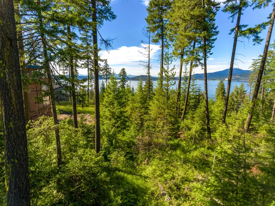 5103 S Jackleg TRL, Harrison, ID 83833 - #3