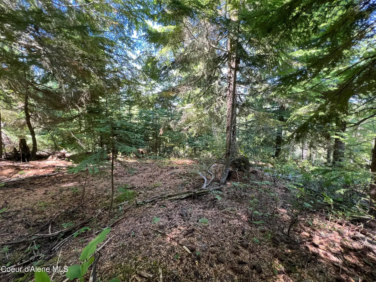 520 Alpine Dr, Fernwood, ID 83830 - #1