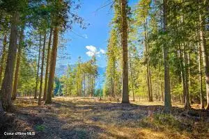 NKA Frontage Rd, Clark Fork, ID 83811 - #3