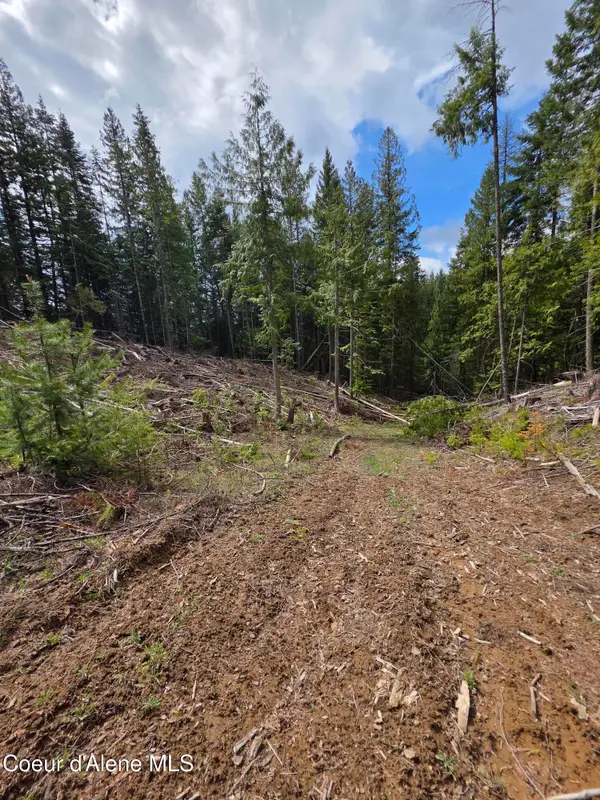 NNA Cabin Loop Road, St. Maries, ID 83861
