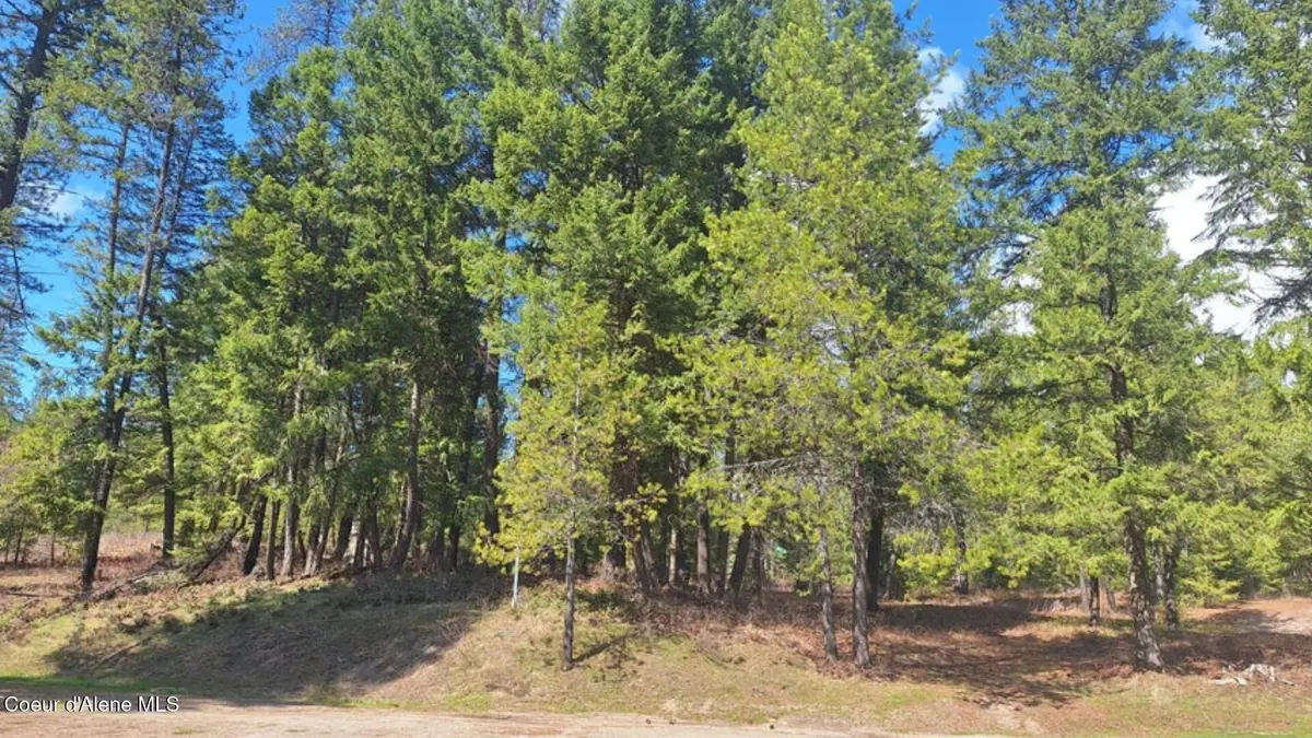 NNA Parkland Dr, Blanchard, ID 83804 - #1