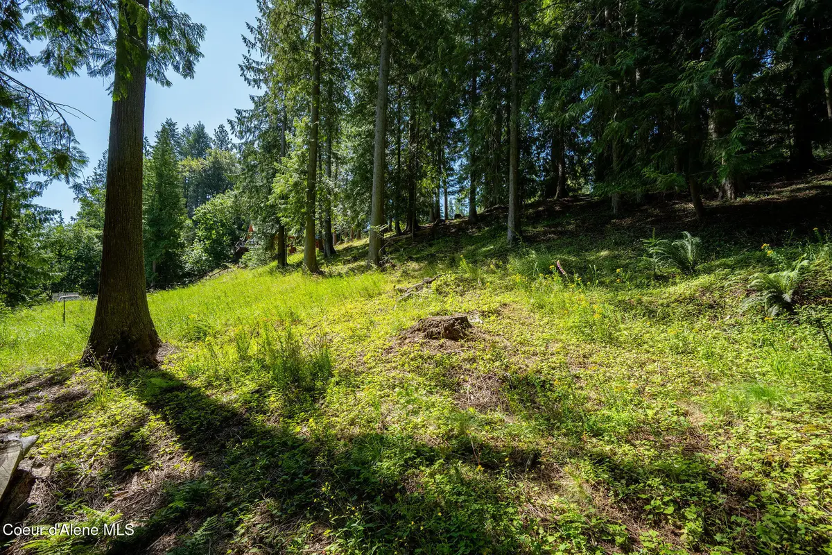 NNA Bay DR, Sagle, ID 83860 - #1