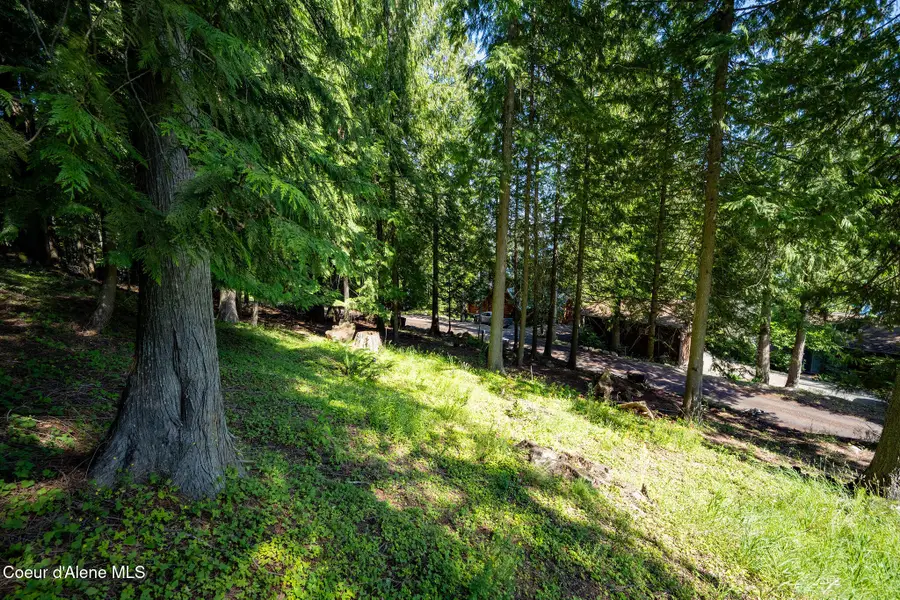 NNA Bay DR, Sagle, ID 83860 - #2