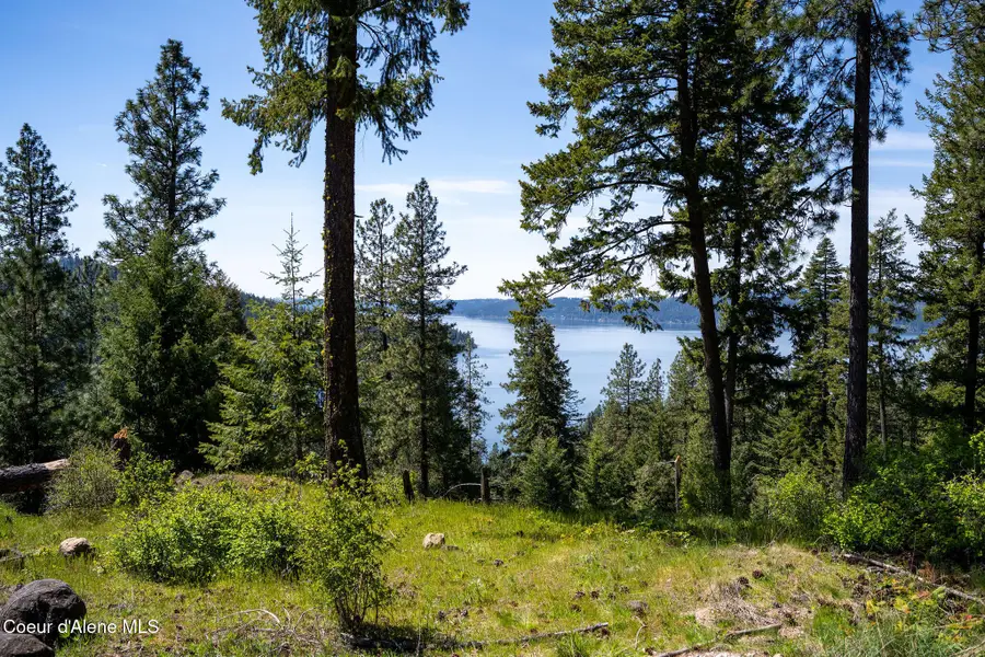 L11 B3 Hanson Rd, Harrison, ID 83833 - #3