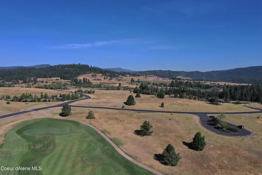 L291 W Bronzite Ct, Coeur D Alene, ID 83814 - #3
