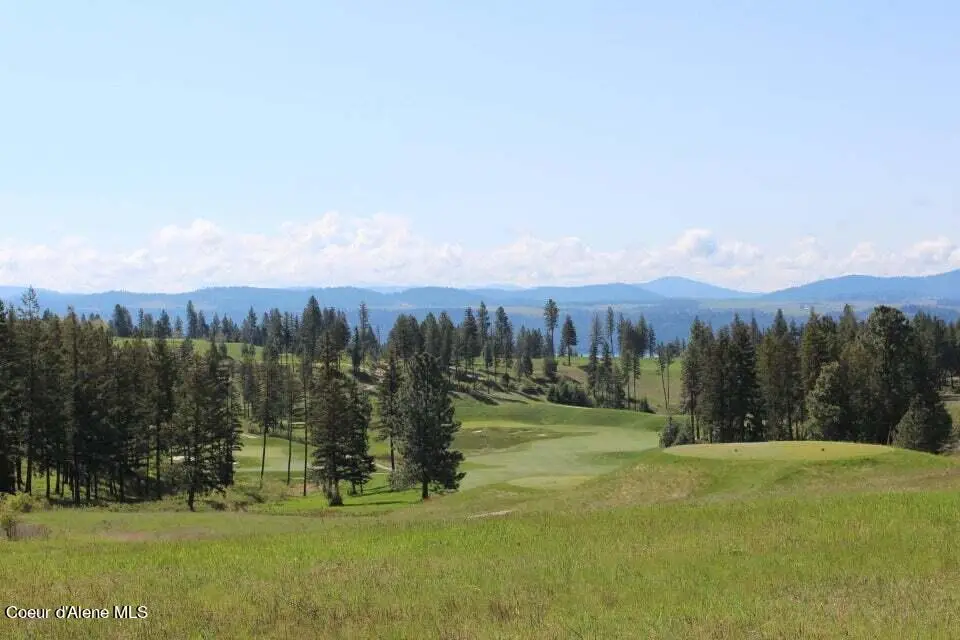 L169 S Basalt Dr, Coeur Dalene, ID 83814 - #1