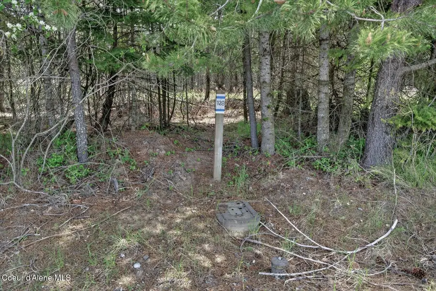 NNA Lost Mile Rd, Bonners Ferry, ID 83805 - #2