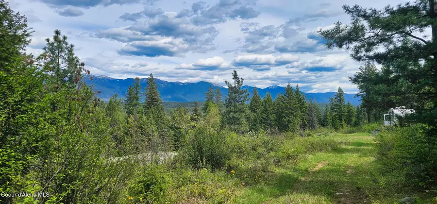 NNA 20 acres Two Tail Rd, Bonners Ferry, ID 83805 - #3