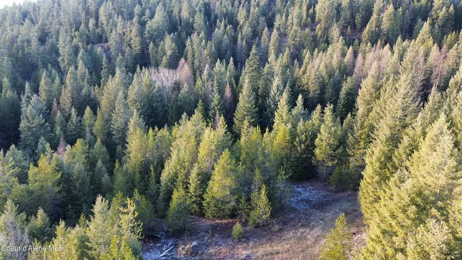 L7 B1 KELSO WOODS DR, Athol, ID 83801 - #3