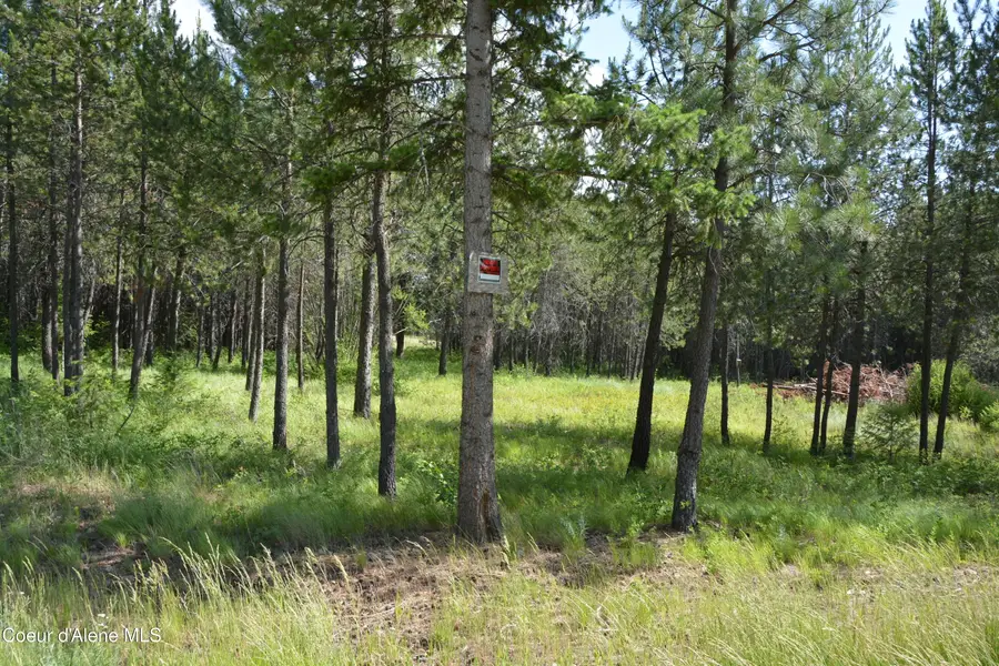 NKA N Sylvan RD, Athol, ID 83801 - #3