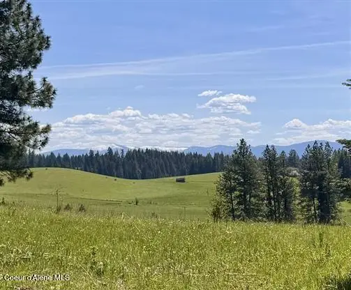 TBD Harris Ridge Rd Parcel 4, Kooskia, ID 83539