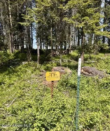 TBD Harris Ridge Rd Parcel 4, Kooskia, ID 83539 - #2