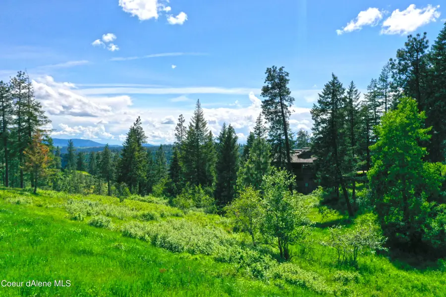 L181 S Basonite Ct, Coeur Dalene, ID 83814 - #3