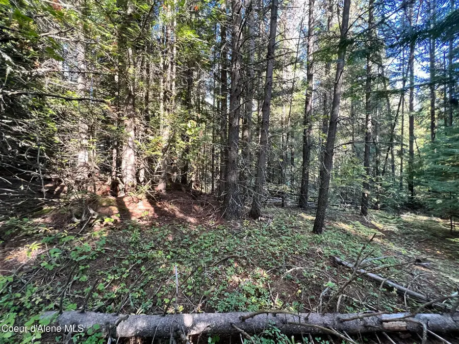 500 Janes Ln, Saint Maries, ID 83861 - #2