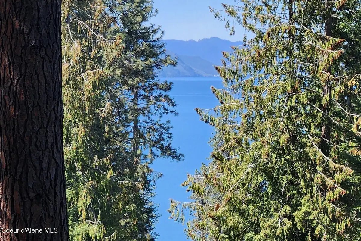 NNA E David Thompson Rd, Hope, ID 83836 - #1