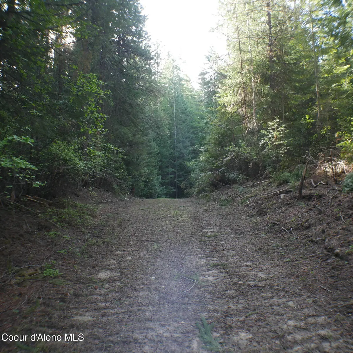 370 Hemlock LN, Fernwood, ID 83830 - #1
