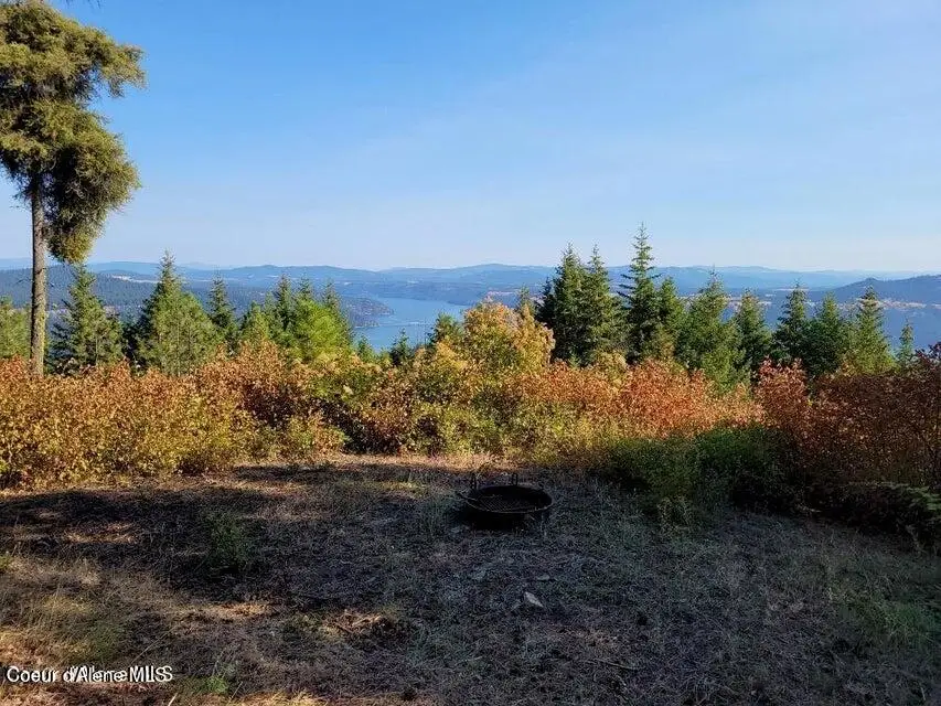 10 Acres Bill Morris Rd, Plummer, ID 83851 - #1