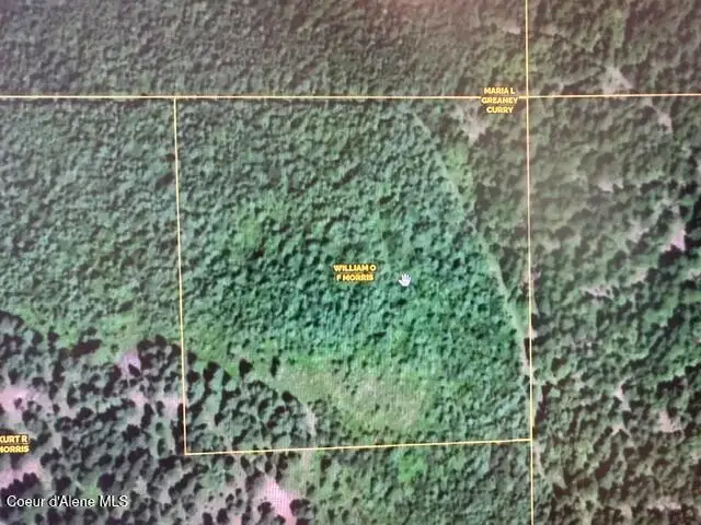 10 Acres Bill Morris Rd, Plummer, ID 83851 - #3