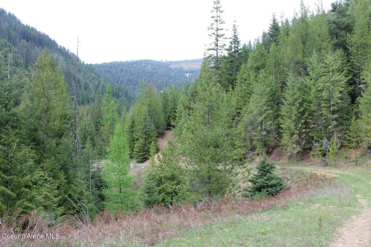 19a Daisy Gulch Rd, Mullan, ID 83846 - #1