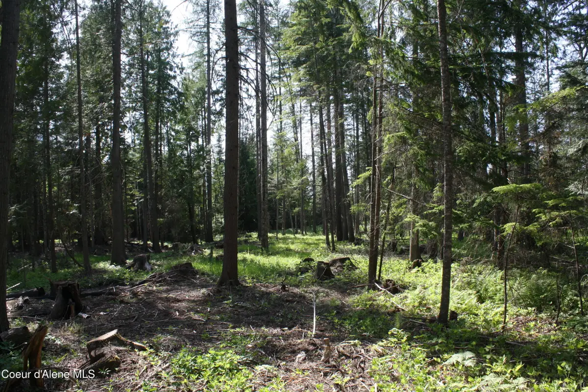 NKA River Lake DR, Clark Fork, ID 83811 - #1