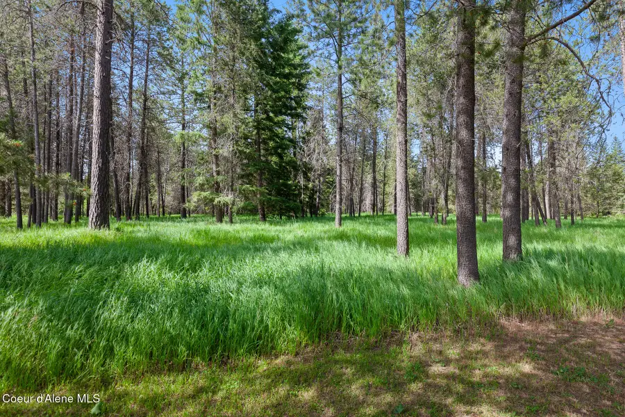 NKA W Camrose Lane, Rathdrum, ID 83858 - #3