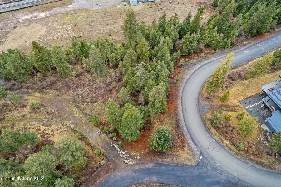 Lot 1 Jackleg Trail, Harrison, ID 83833 - #2