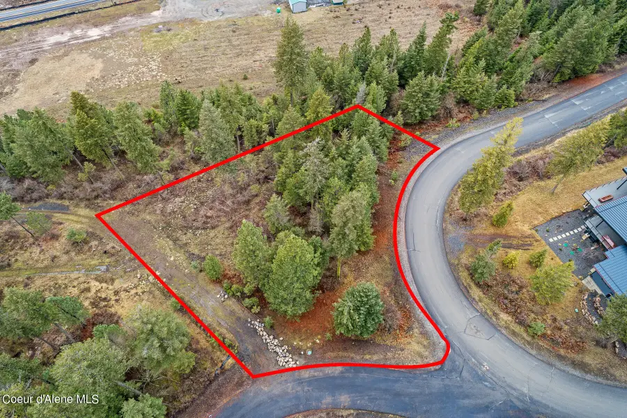 Lot 1 Jackleg Trail, Harrison, ID 83833 - #3