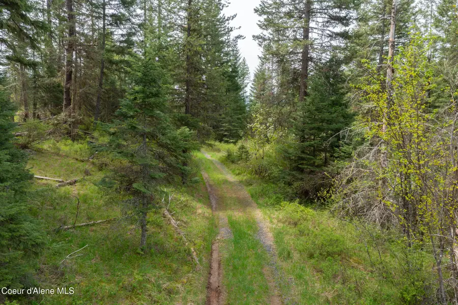 NNA Davis Creek, Santa, ID 83866 - #3