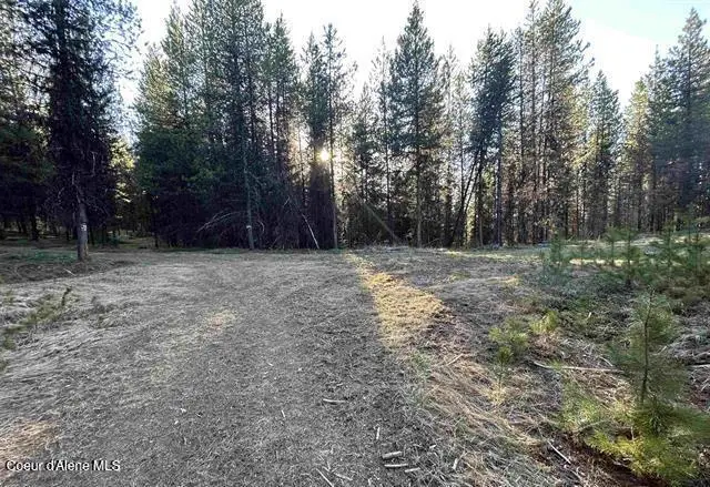 162 Coopers LN, Dixie, WA 83525 - #1