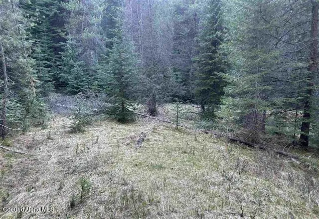 162 Coopers LN, Dixie, WA 83525 - #2