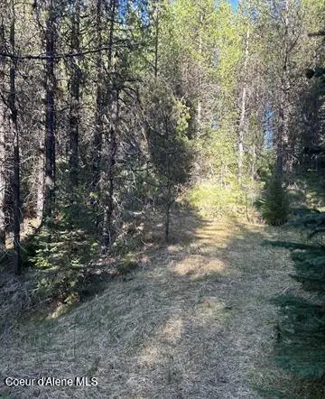 162 Coopers LN, Dixie, WA 83525 - #3