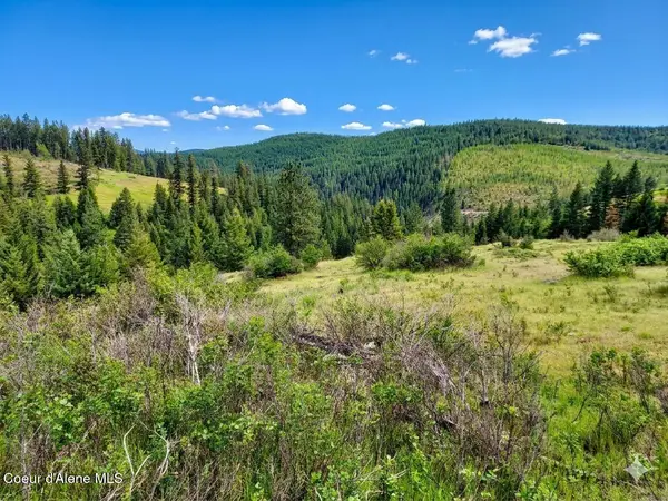 NKA Dorning Dr, St. Maries, ID 83861