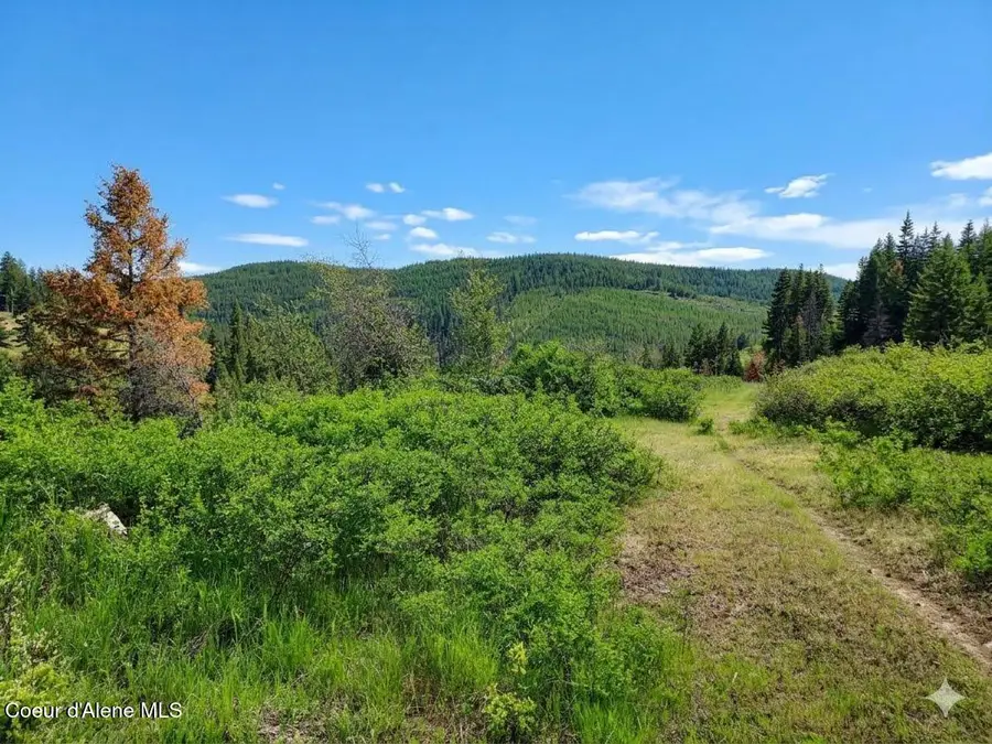 NKA Dorning Dr, Saint Maries, ID 83861 - #2
