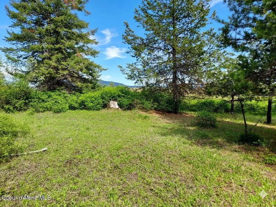 NKA Dorning Dr, Saint Maries, ID 83861 - #3