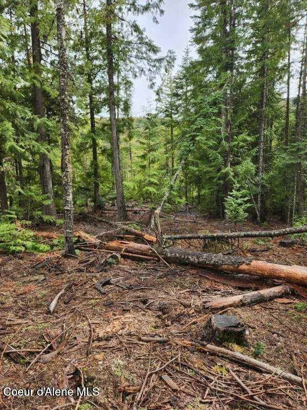 NKA Middle Fork Santa Creek Rd, Saint Maries, ID 83861 - #3